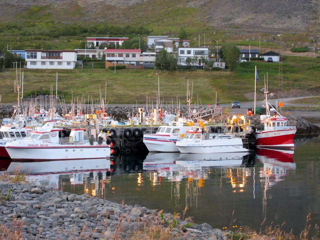 Appartement Stekkar 23 à Patreksfjordur Extérieur photo